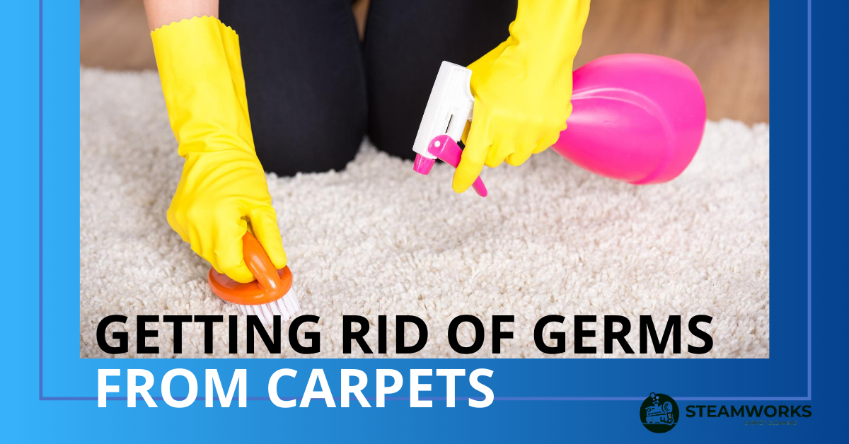 Bacteria Removal Remove the Germs on Your Floor Once and For All!