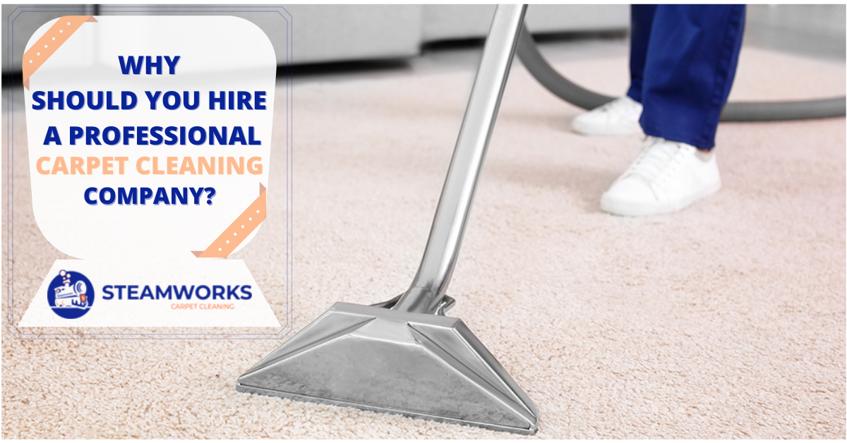 Should You Hire a Professional Carpet Cleaning Company? SteamworkS