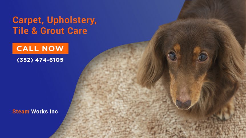 regular carpet cleaning