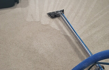 carpet-cleaner-gainesville