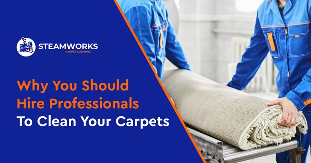 Professionals To Clean Your Carpets