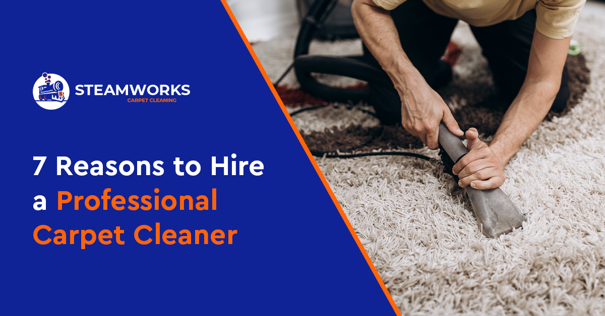 7 Reasons to Hire a Professional Carpet Cleaner