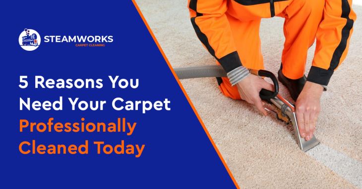 Carpet Cleaning Gainesville