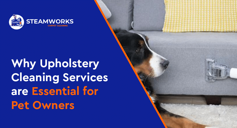 Why Upholstery Cleaning Services are Essential for Pet Owners