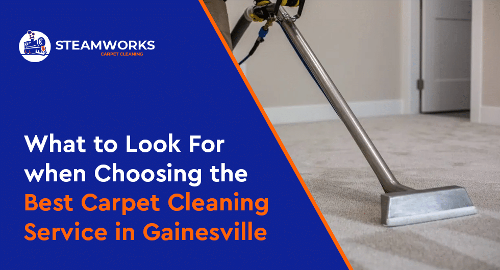 What to Look For when Choosing the Best Carpet Cleaning Service in Gainesville