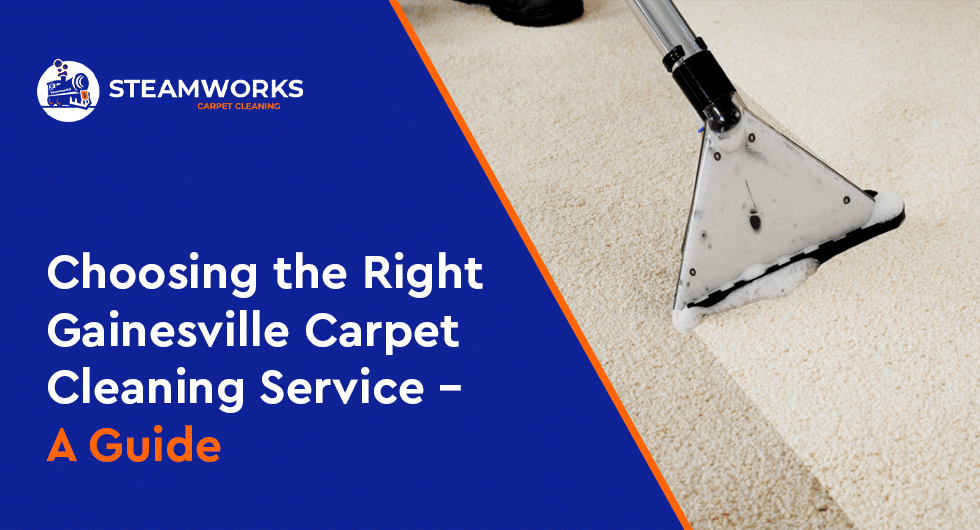 Choosing the Right Gainesville Carpet Cleaning Service - A Guide